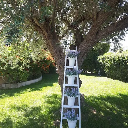 Εξοχικό σπίτι Tale' Garden *